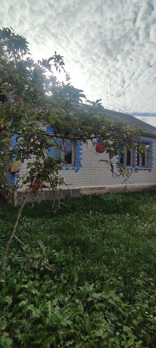 Продається будинок 15 км від Чернігова