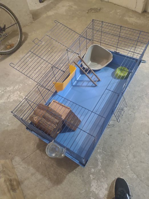 Klatka dla świnki morskiej z drewnianym domkiem