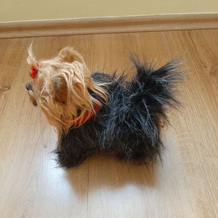 York pies zabawka interaktywna