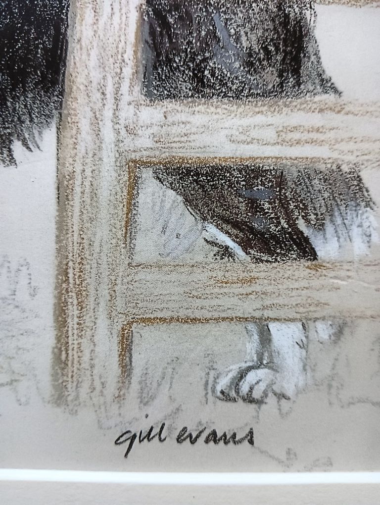 Border collie piękny sygnowany portret pastele