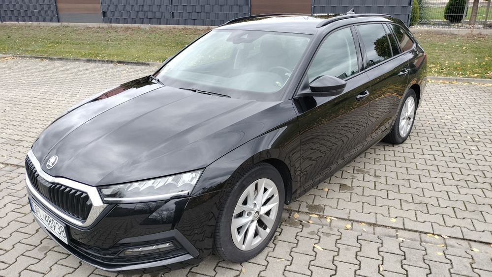 Skoda Octavia salon Polska