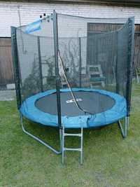 Trampolina 8ft 252 cm