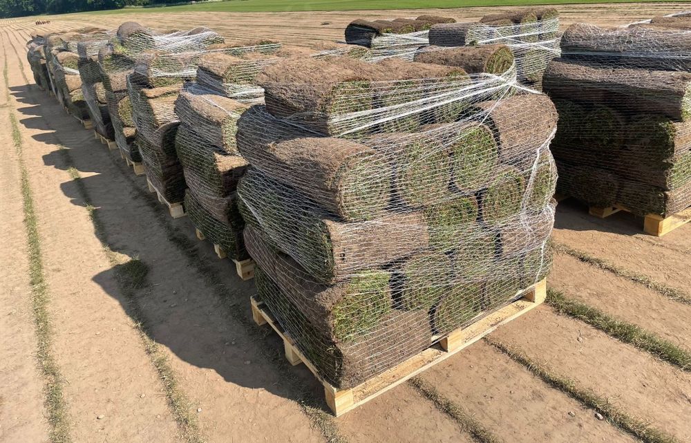 Trawa trawnik z Rolki transport montaż wysyłki kurier