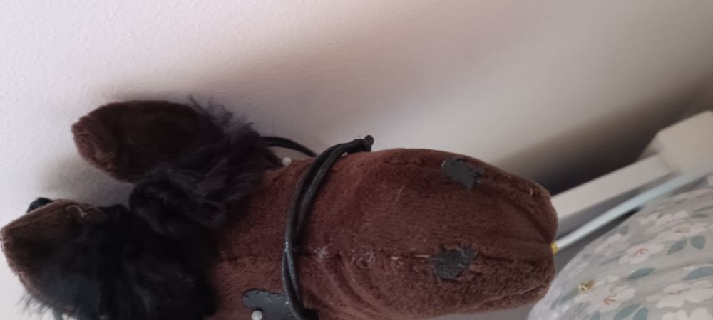 Hobby horse gniady