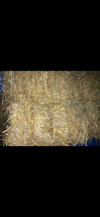 Sloma w kostkach 2025