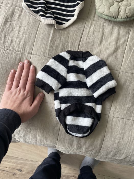 Маленький собачий одяг