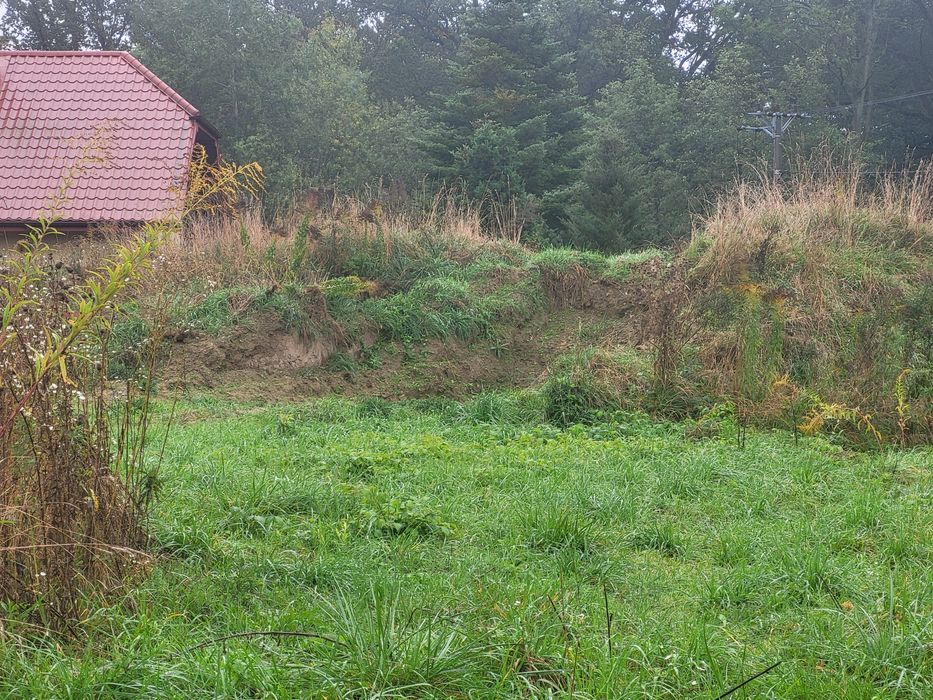 Oddam ziemie za darmo