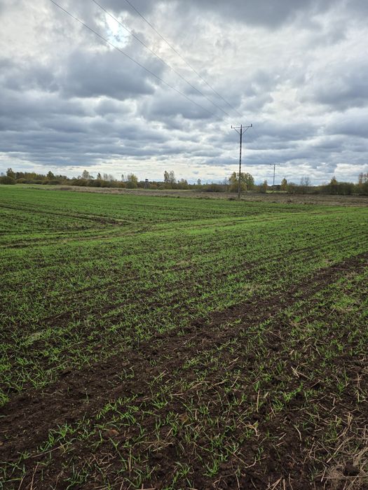 Działki orne uprawne