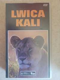 VHS+DVD Lwica Kali 1996 BBC/Telehit