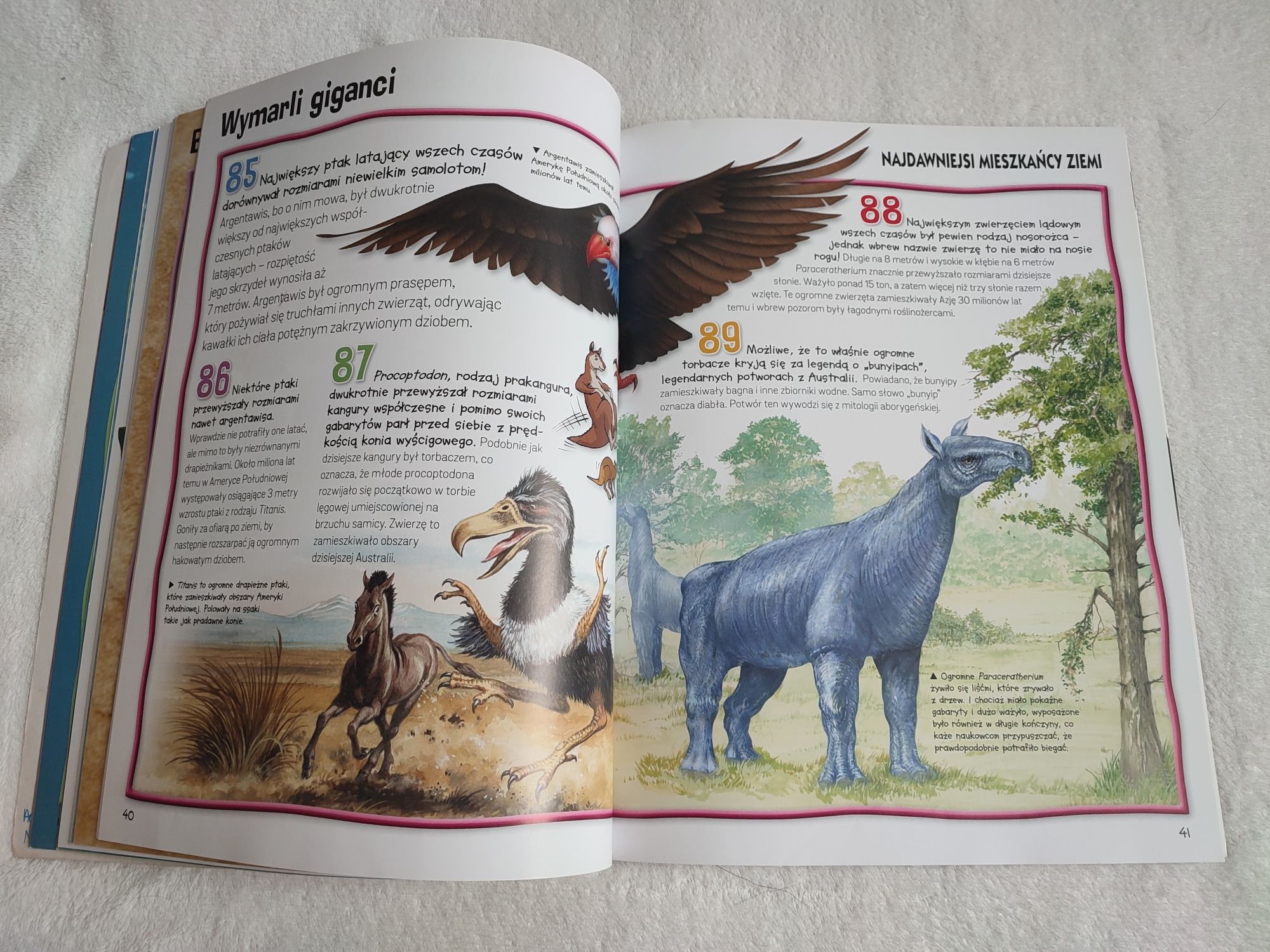 Książka "300 faktów: dinozaury"
