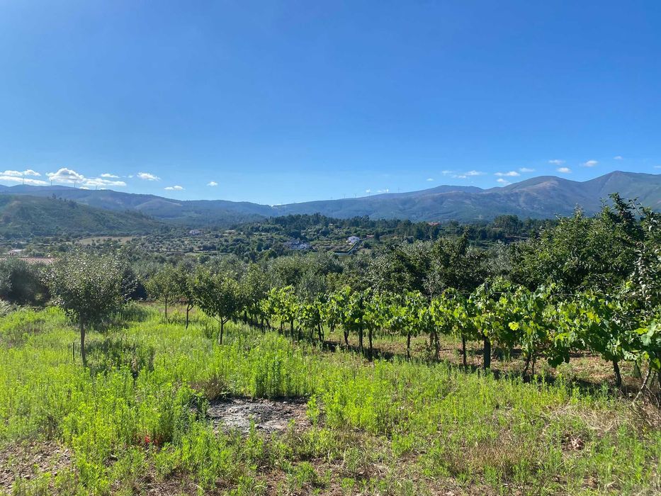Terreno na Vila do Paul próximo das praias fluvias
