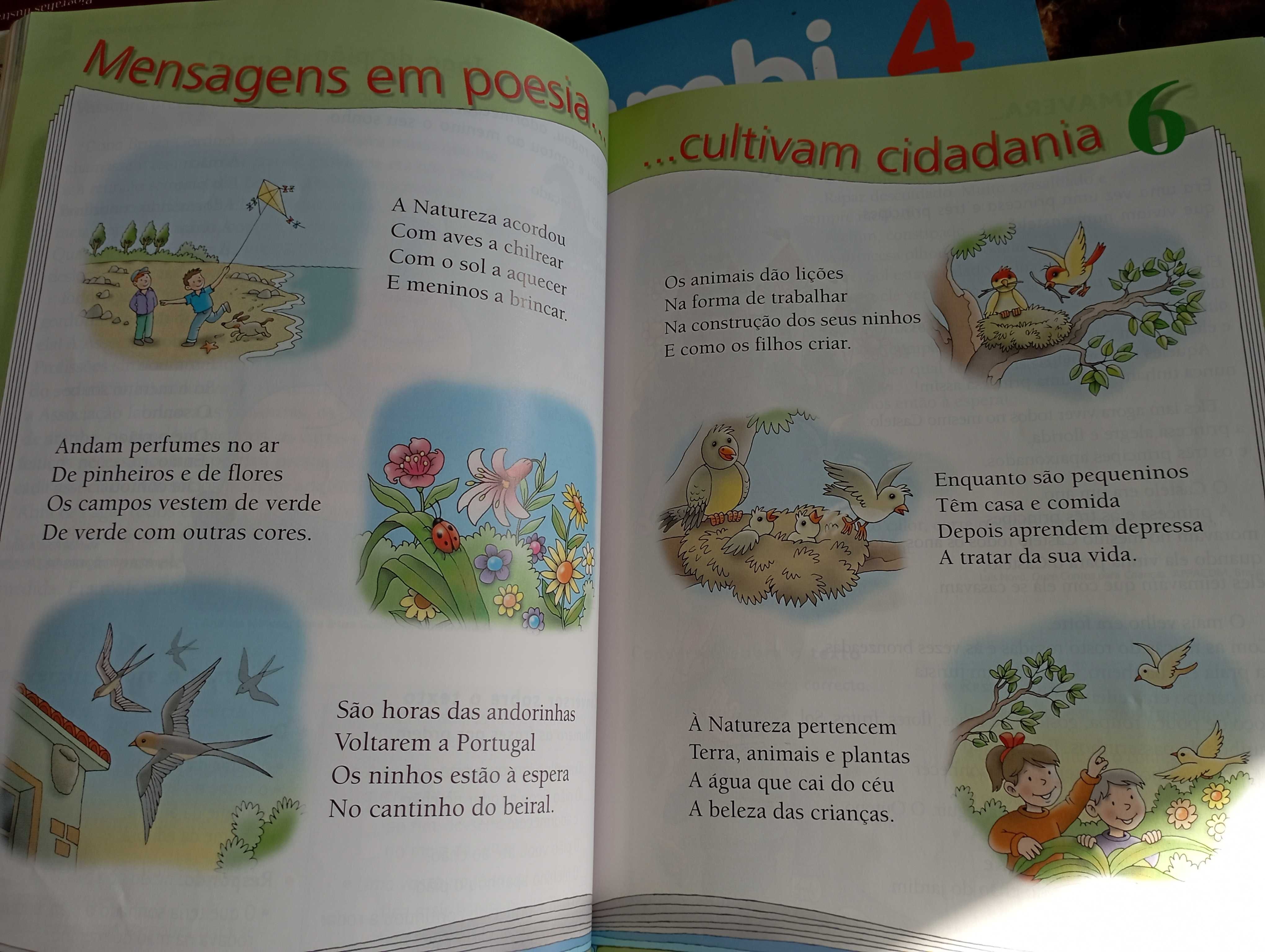 Bambi 4 - língua portuguesa e livro de fichas 4° ano ensino básico