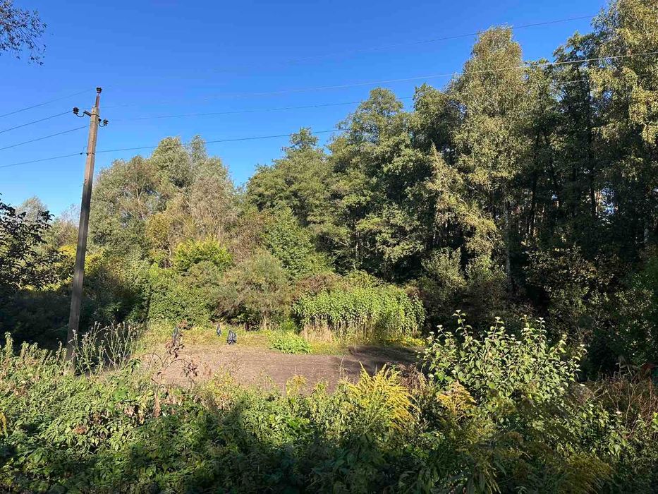 Інвестиція у майбутнє: ділянка з виходом до озера та лісу с. Кожухівка