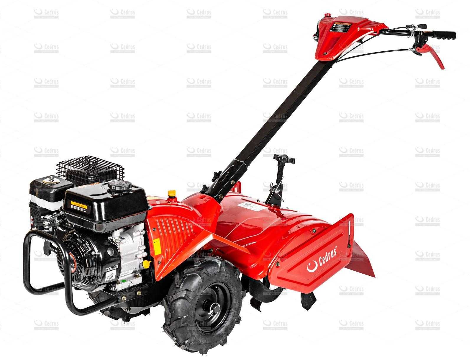 Glebogryzarka CEDRUS GLX-GT65-2 Briggs&Stratton - NOWA -FV