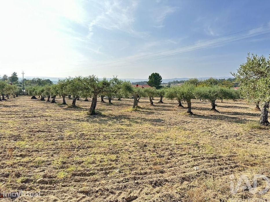 Terreno em Açores e Velosa de 49492,00 m2