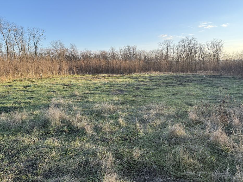 Участки 2 шт. по 10 соток Музичі Генеральські дачі