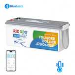 Lifepo4 Redodo акумуляторна батарея 24V 100Ah, BMS 2560Wh Bluetooth