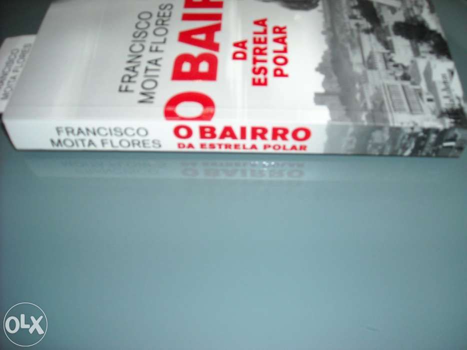 Livro o bairro da estrela polar.