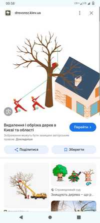 Видалення дерев, чагарників, покос трави,прибирання та вивіз сміття з