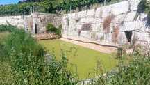 Quinta com exploração Vitícola