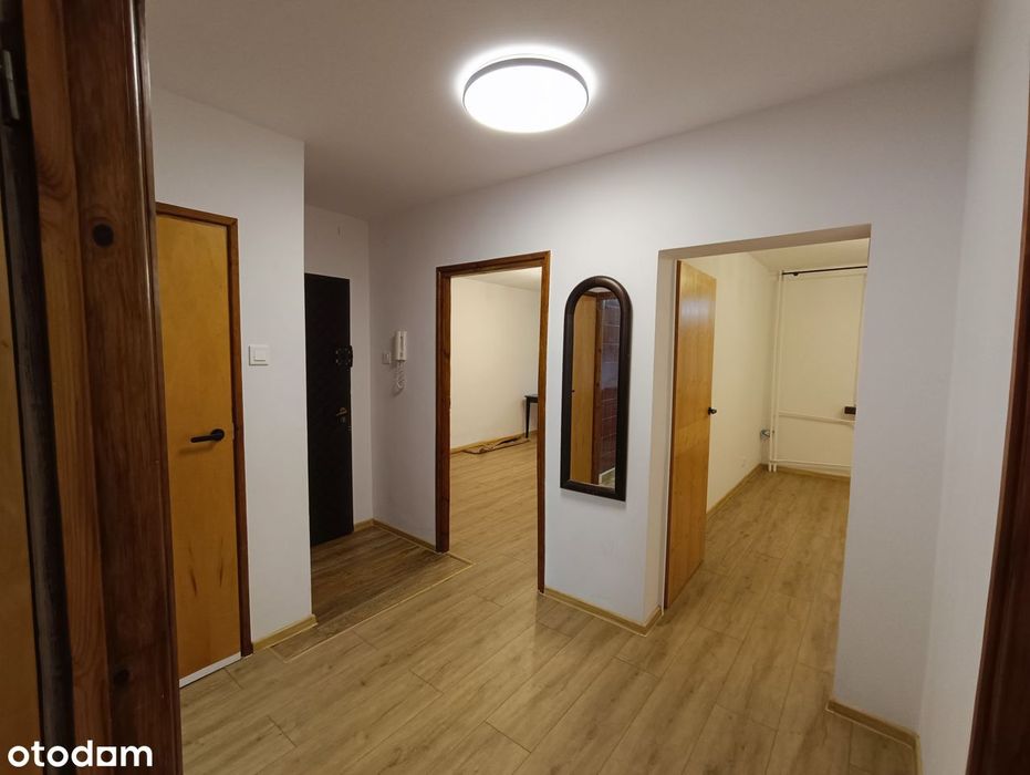 3 pokoje + kuchnia / ogródek / najem okazjonalny / bezpośrednio