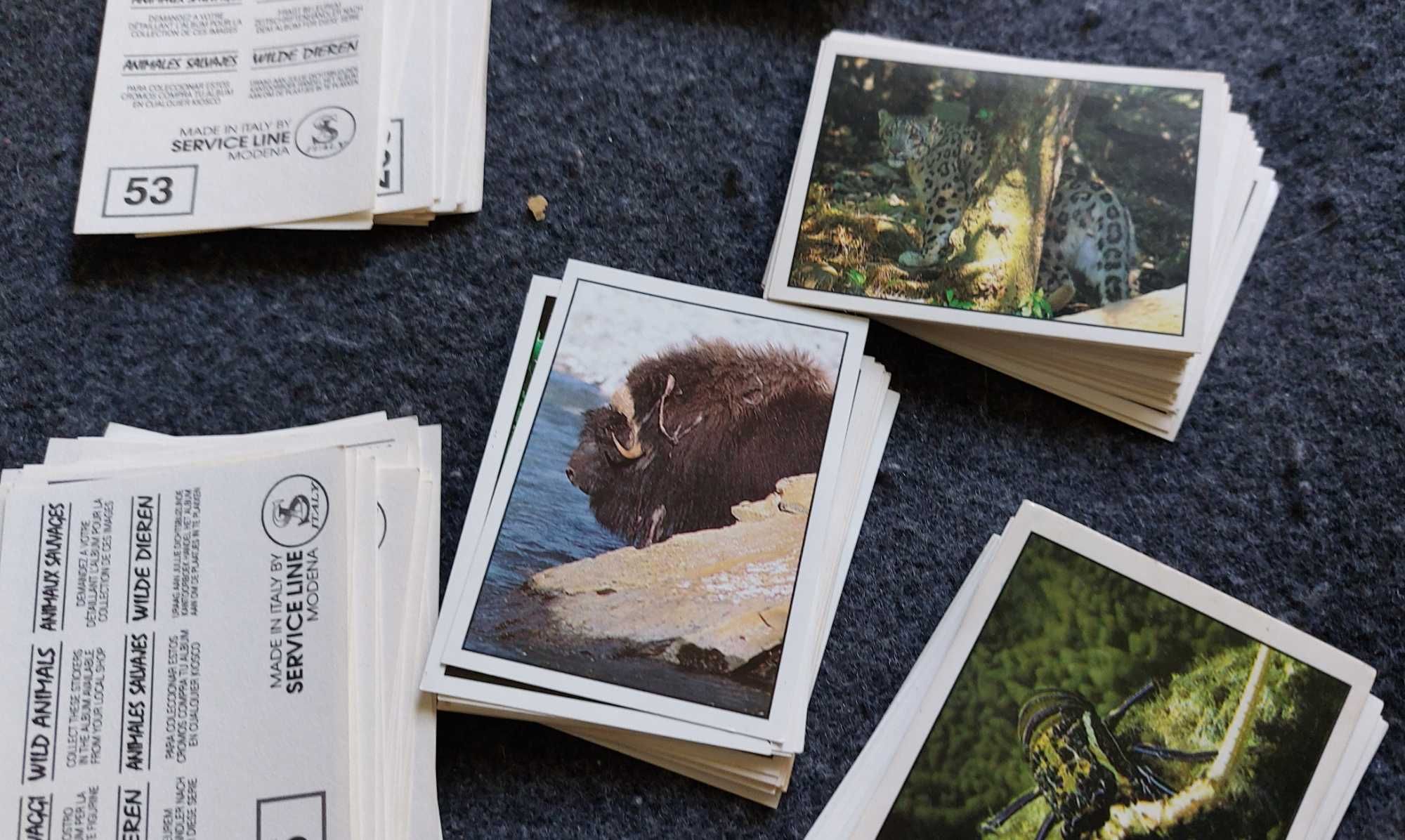 Lote de 240 Cromos Animais Selvagens