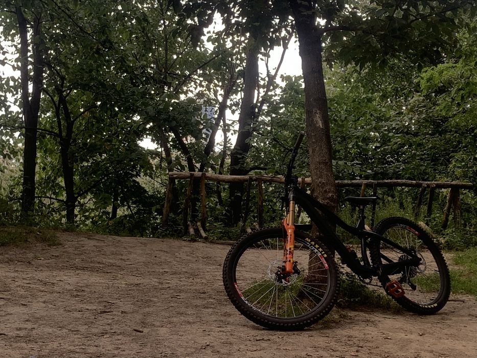 dartmoor hornet pro 2021