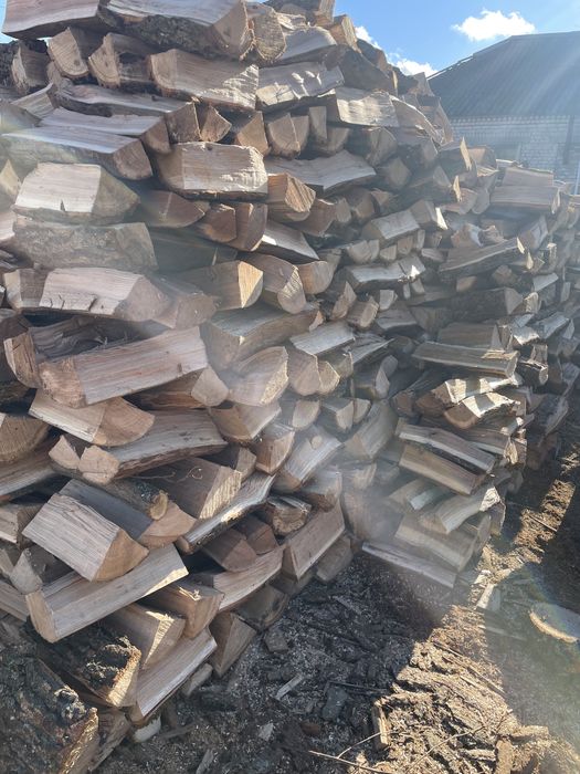 Дрова твердих порід