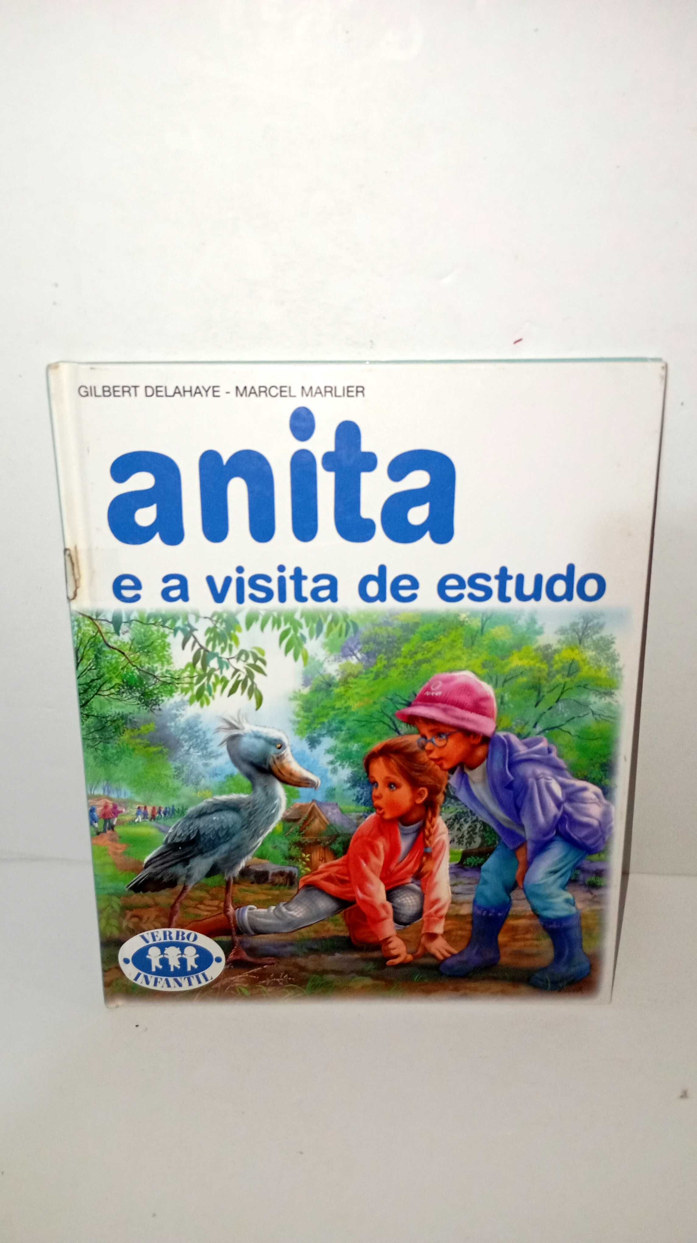 Anita e a Visita de Estudo