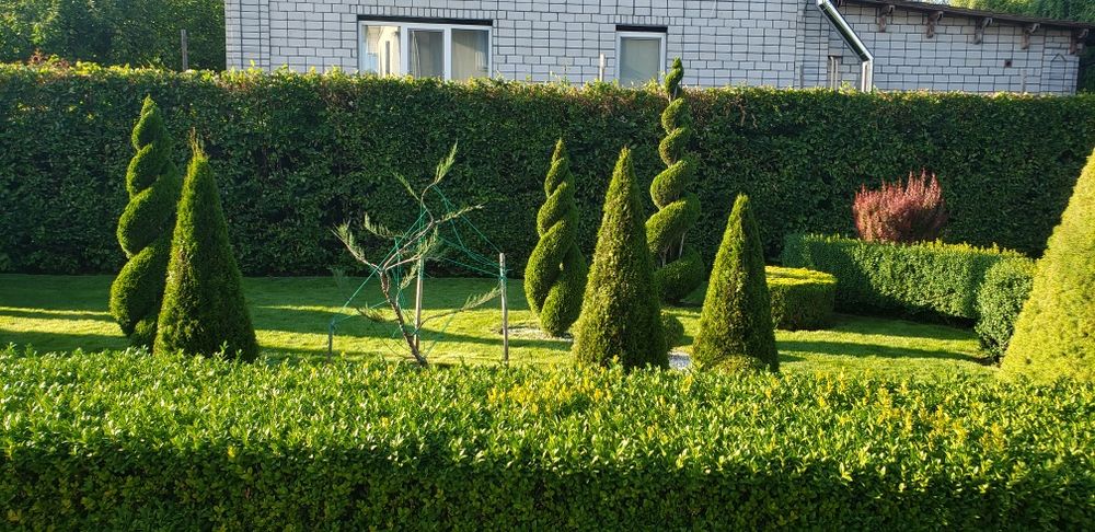 Топіарна стрижка рослин  автоматичний полив стрижка газону