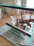 Terrarium 30/30 typowy kwadrat