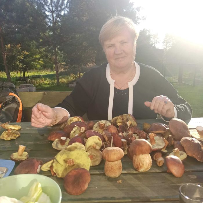 Wynajmę dom ze światłowodem na okres jesienno- zimowy . Lubuskie