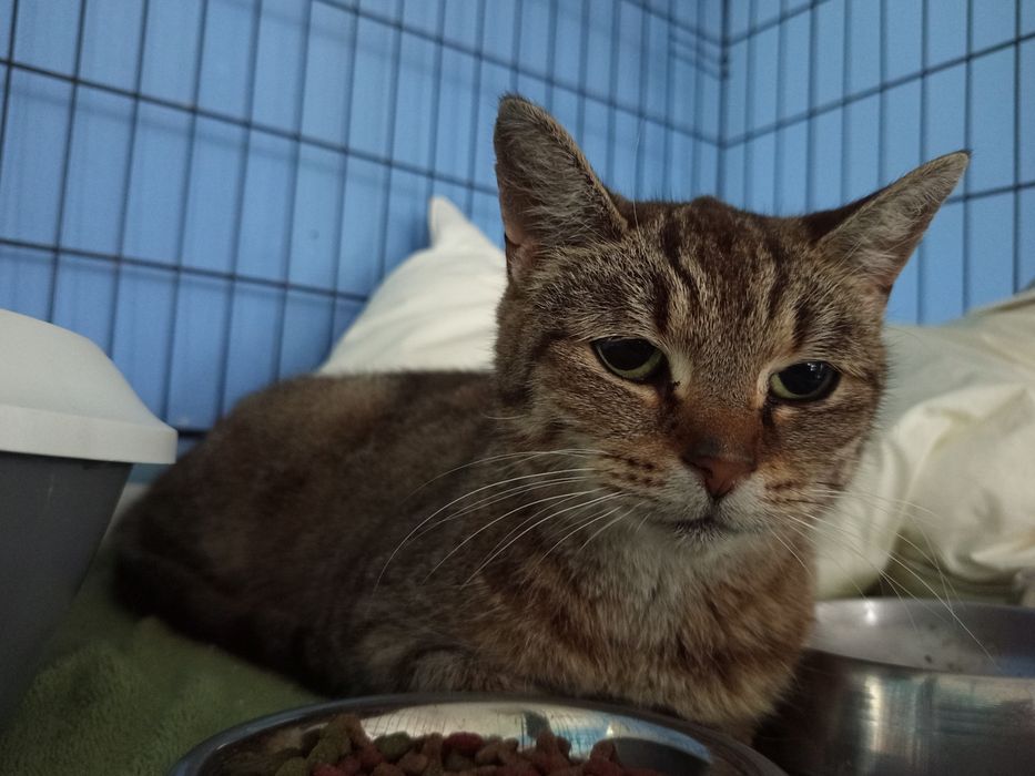 Marysia szuka rodziny