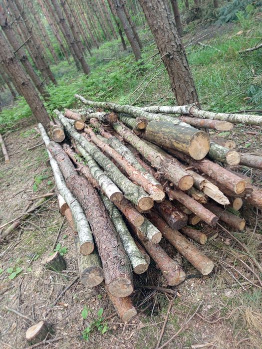 Drewno opałowe i kominkowe