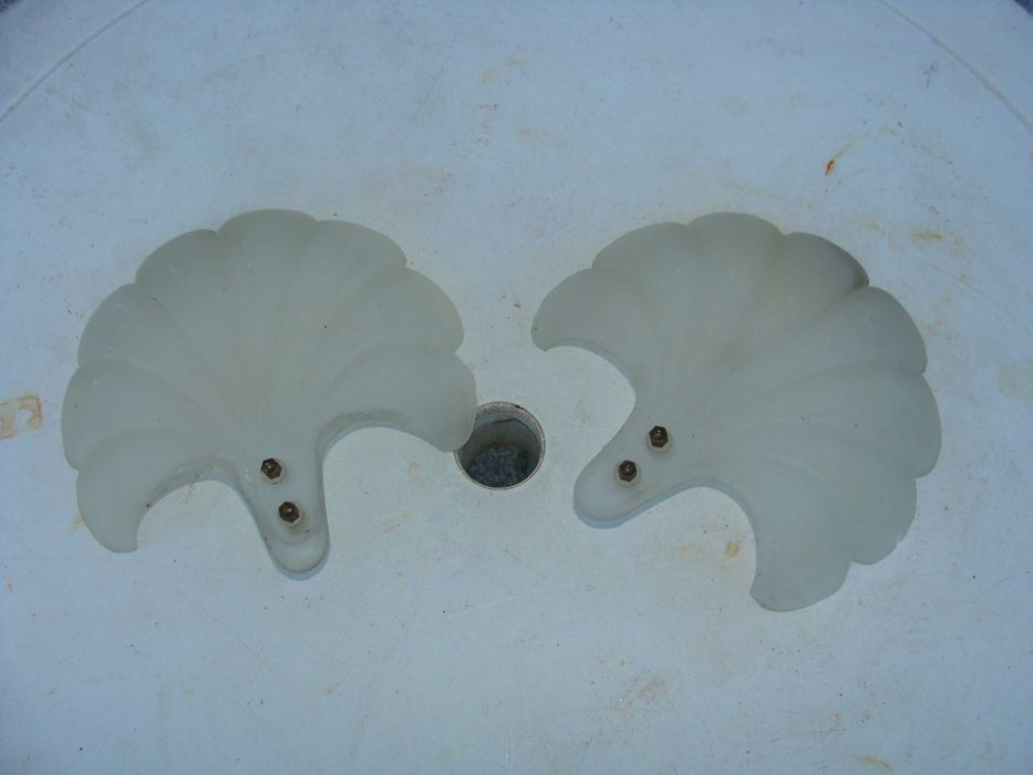 Conchas em Vidro para candeeiro