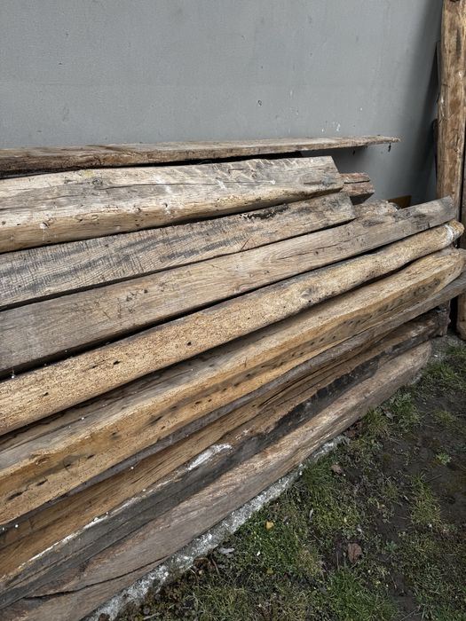 Drzewo - stare dębowe