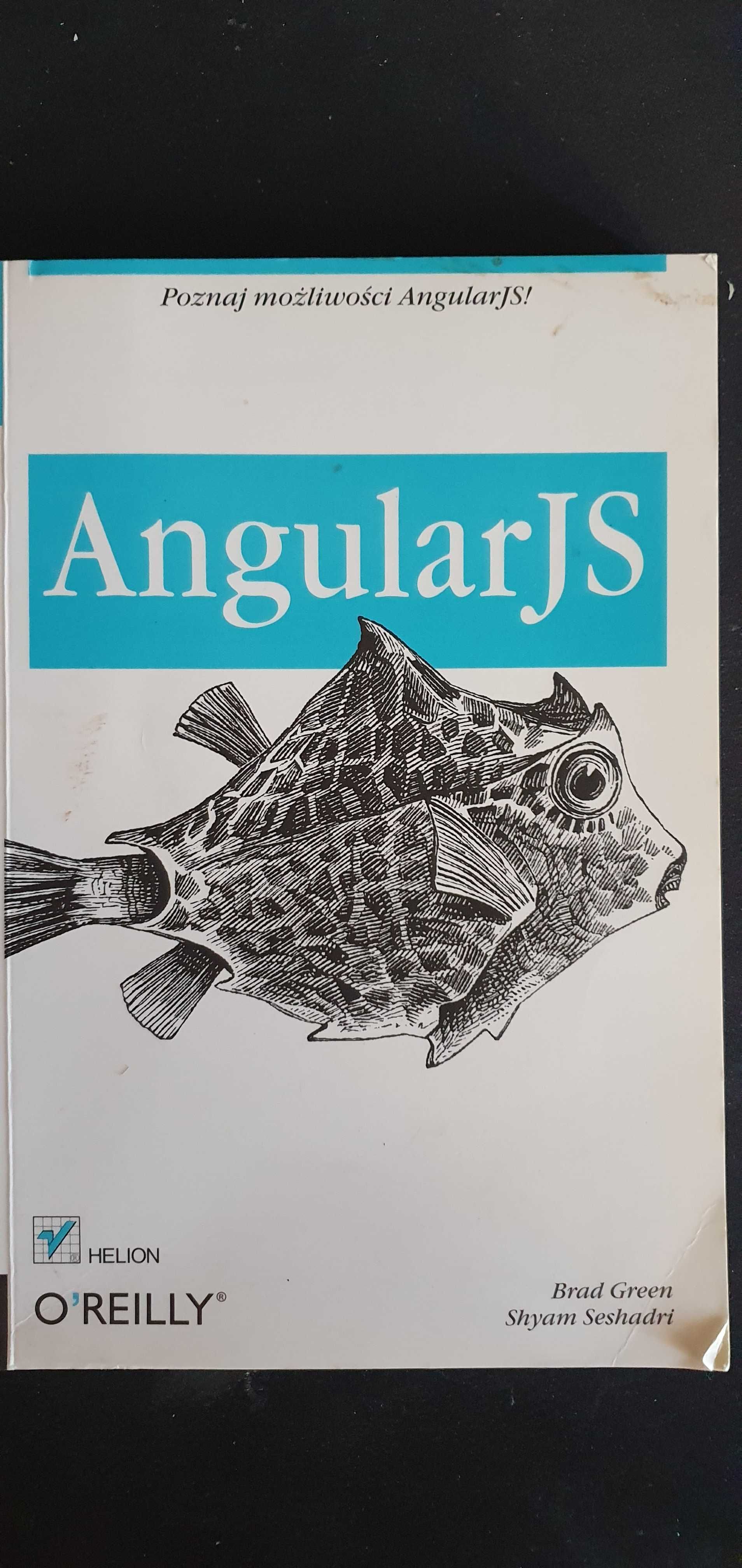 AngularJS O'Reilly