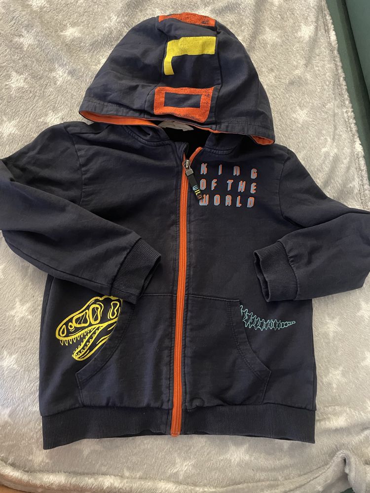Bluza z dinozaurem
