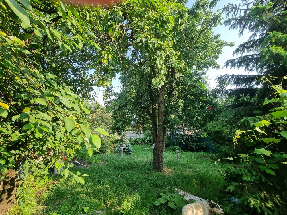Продам Дом Краснополье! Днепр!