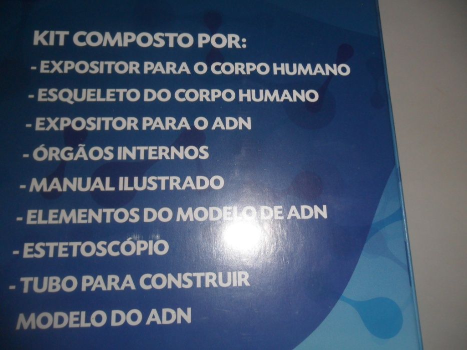 Set do corpo humano