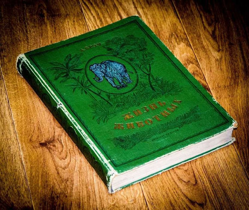 Жизнь животных в рассказах и картинах по А. Брэму. 1937