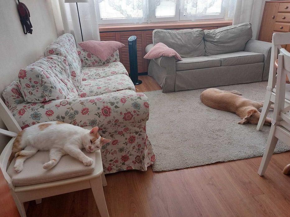 Sofa Ektorp 3 os. - 2 kpl pokrowców