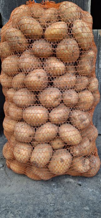 Sprzedam ziemniaki  soraya 0.70zl za kg