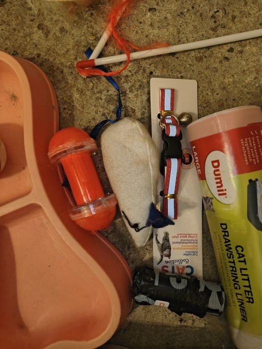 Wyposażenie wyprawka akcesoria dla kociaka