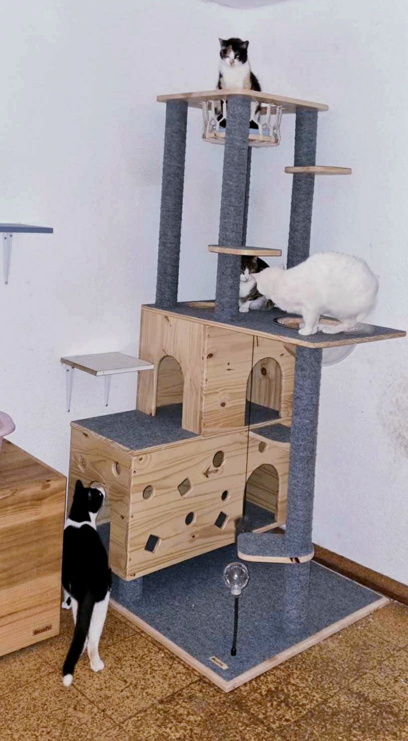 Arranhador para gatos