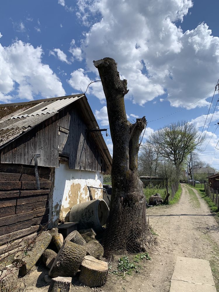 Зрізка дерев, корчування пнів