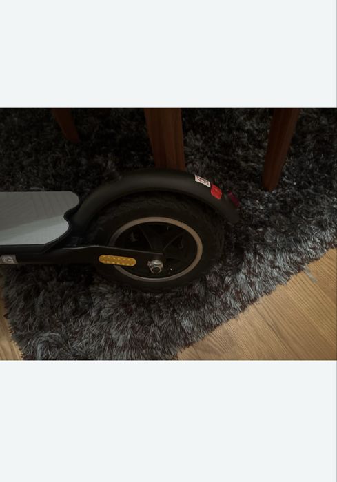 Trotinete Urban Glide 100 Evo