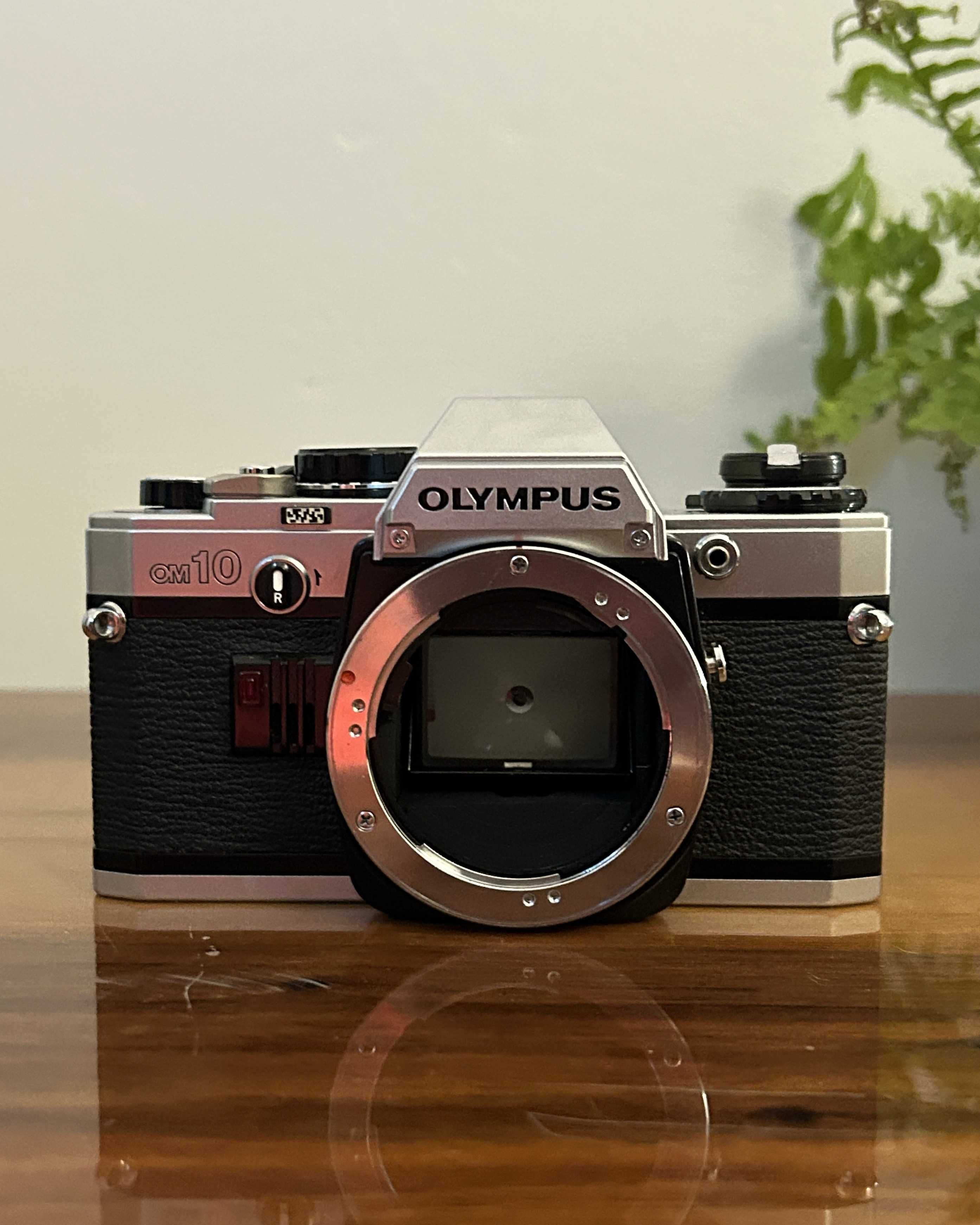 Olympus OM-10 + Zuiko 50mm f/1.8