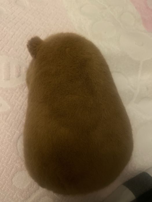 игрушка капибара