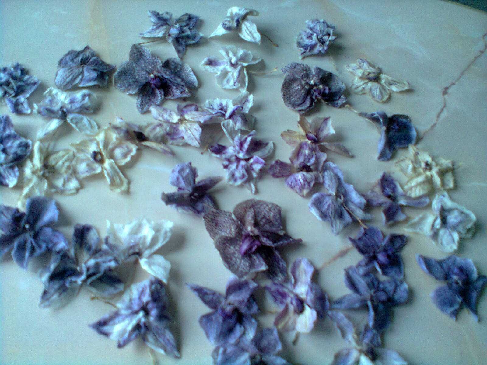 Для мыловарения- цветы от орхидей